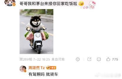 周翊然小猪本体暴露仔细整理评论区各类线索，真相不容置疑！周翊然真身圆滚滚萌小猪，