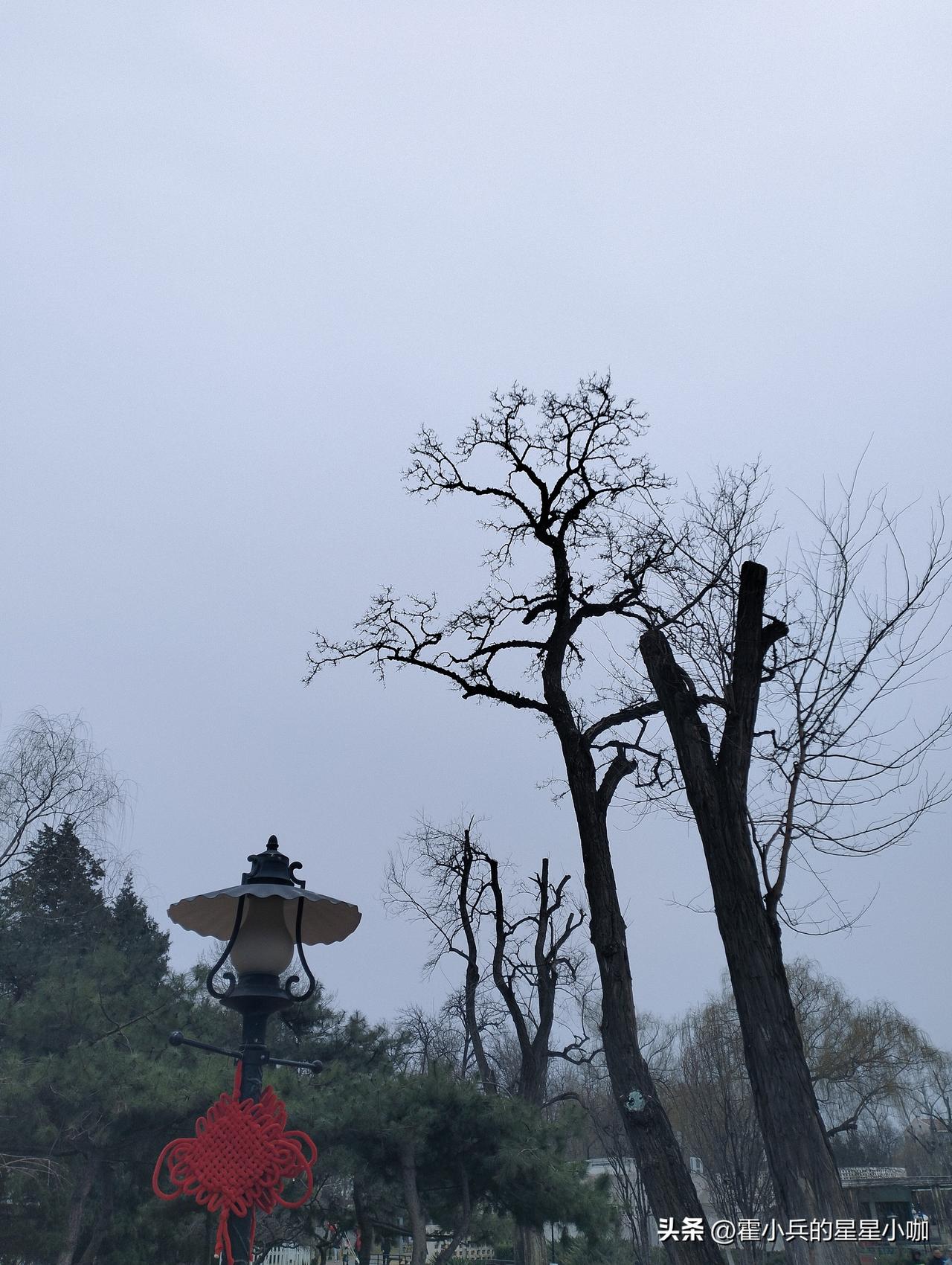 分享一下你随手拍下的照片