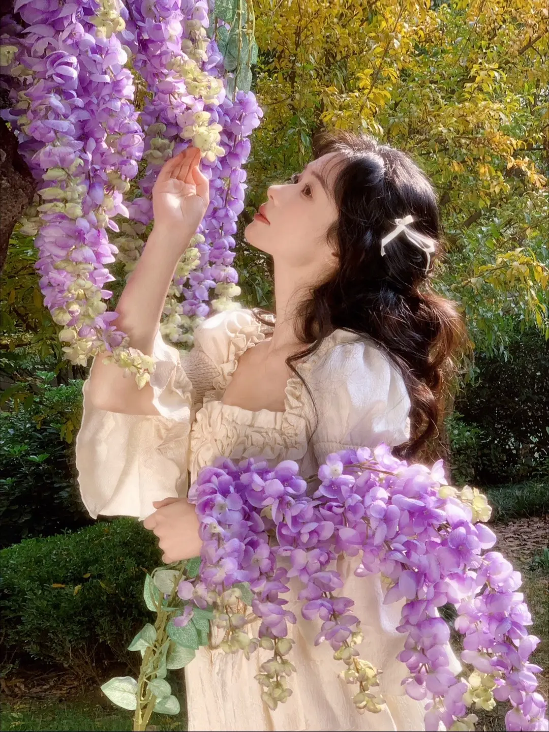 𝓌𝒾𝓈𝓉ℯ𝓇𝒾𝒶🪻紫藤树。