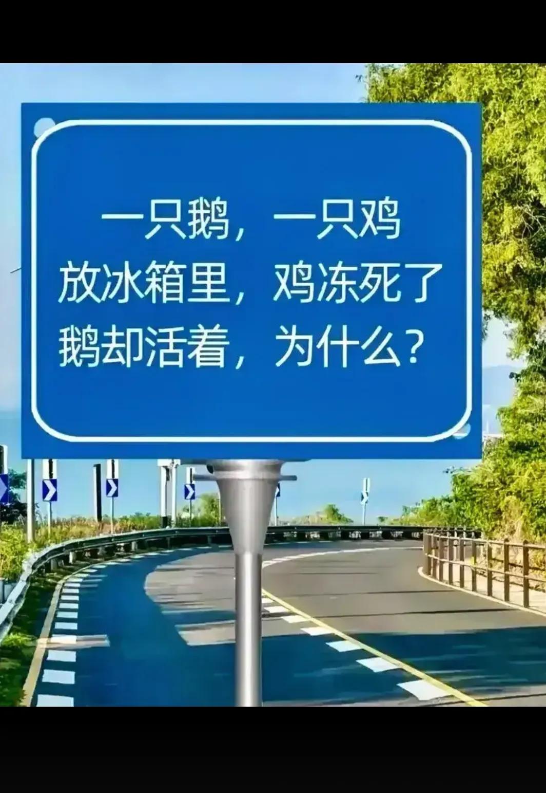 为什么？？？？