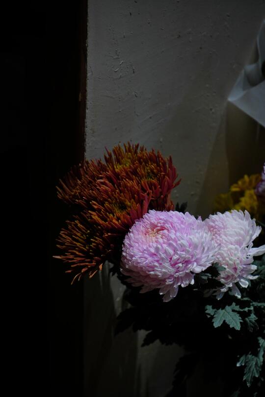 ｜三月三 武当插花