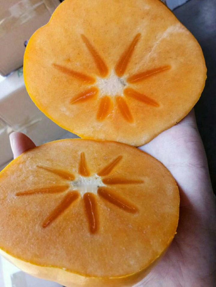 我的美味脆柿变成了美味软柿，依旧美味[色]这个好物闭眼入 .  ​​​