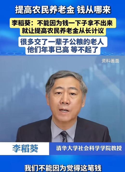 这才是真专家！李稻葵替农村老人说了句大实话：“不能因为钱一下子凑不齐，就说提高农