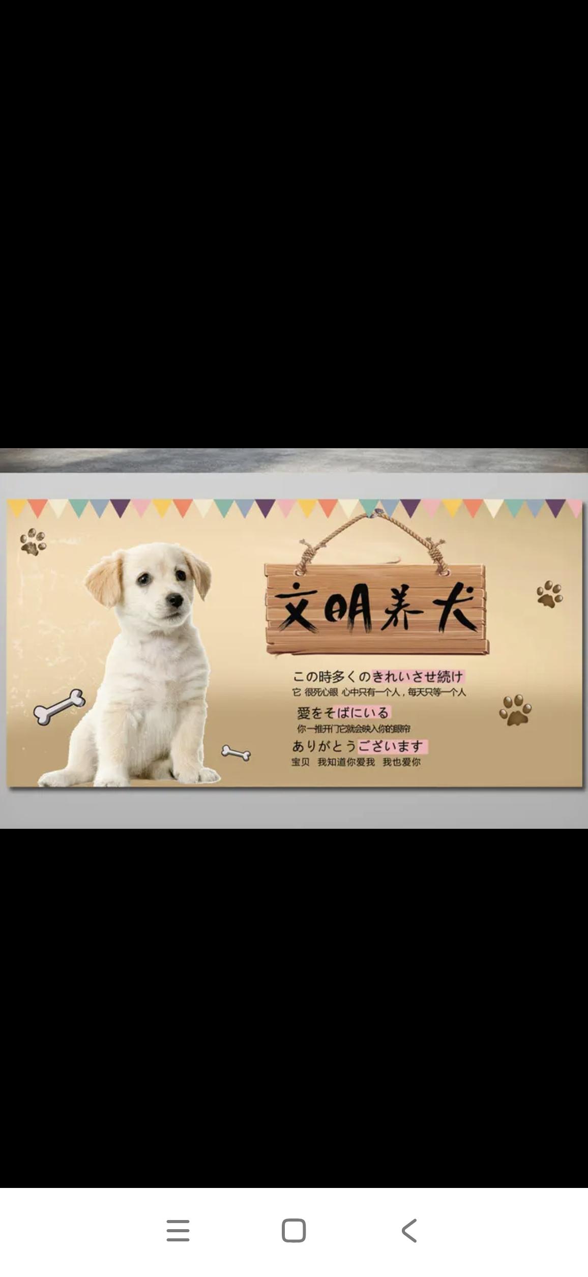 5月1日起 上海养犬新规
近期，各地都对养犬实施了严格规范管理，国际大都市上海也