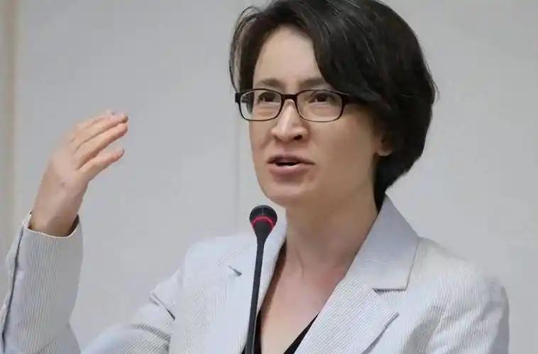 萧美琴林佳龙偷摸窜到意大利小岛，想搞外交突破，结果欧盟当场撤标志，意大利外长压根