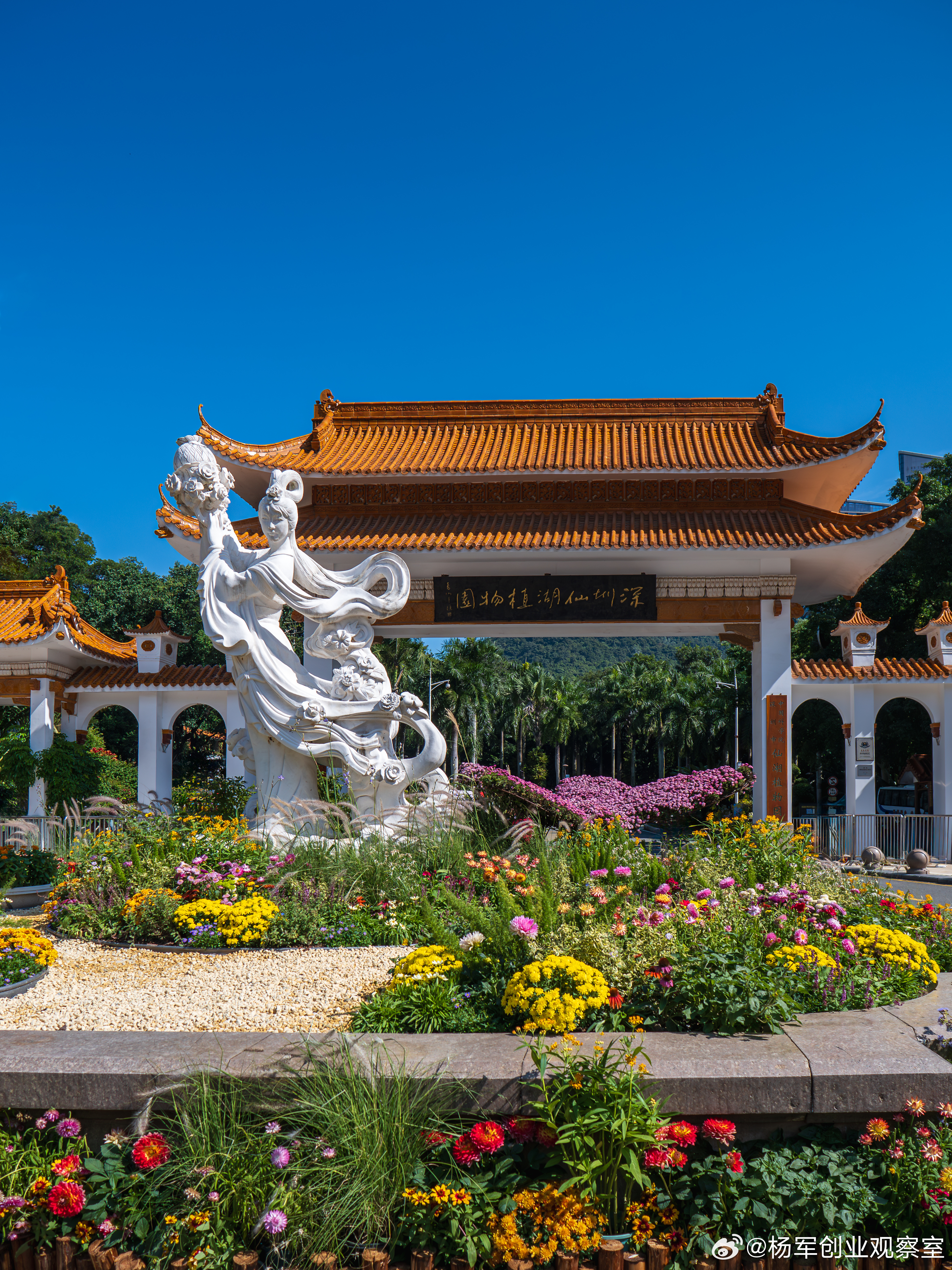 技术如何定价？分享一个实战调查框架抓住这4个核心维度，快速判断技术含金量：1. 