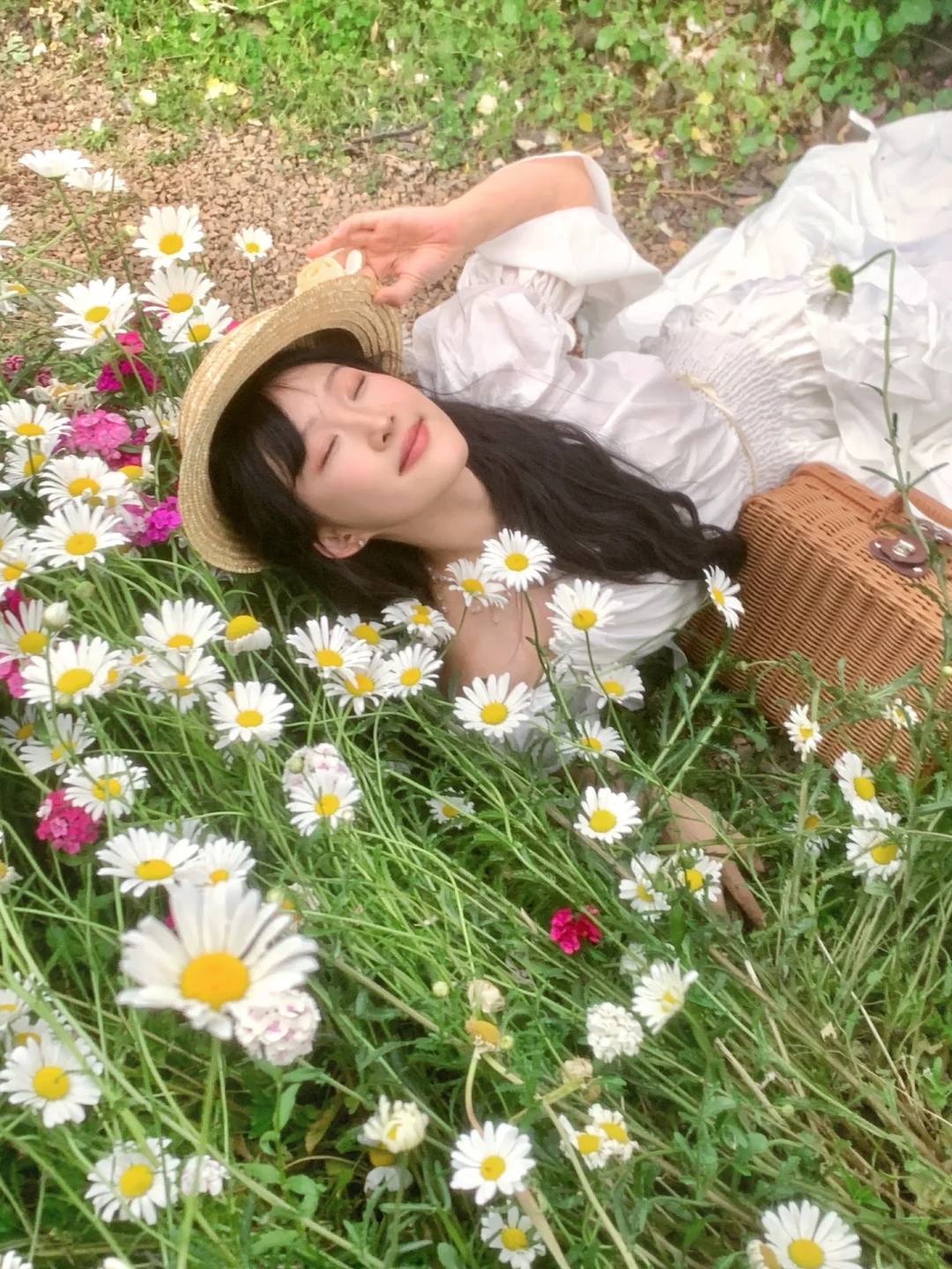 姐的美丽，鲜花也为之倾倒