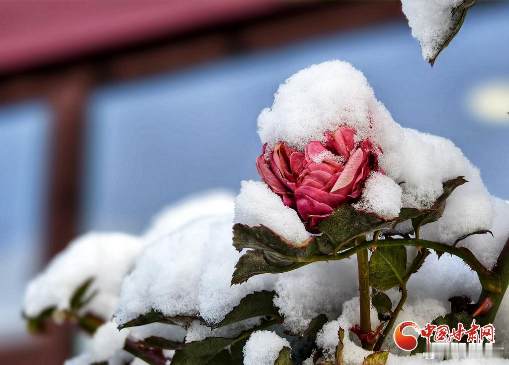 天寒地冻，也要热气腾腾地生活。 ，记得多穿一点，多努力一点。