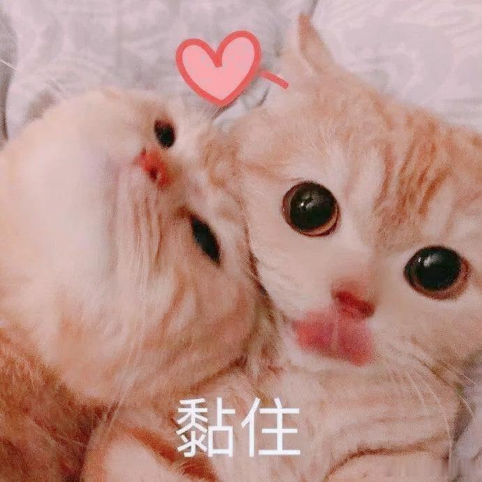大吉胡咧咧 如珠似宝85【因为我想一直和你在一起。】赵宝珠这几天脑子里全是这句话