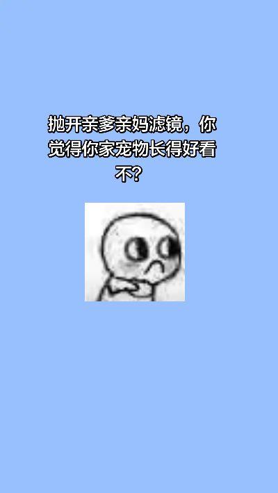 猫咪 萌宠 动物