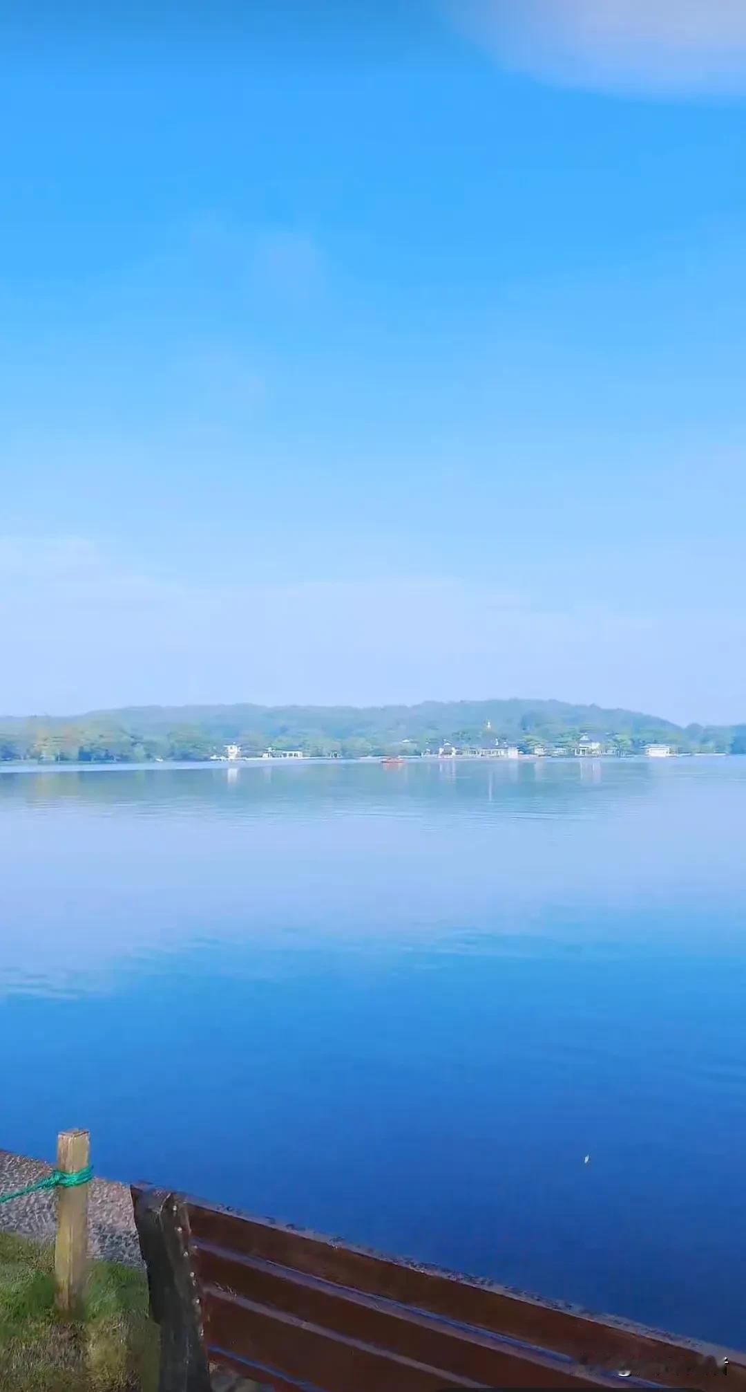#秋日景色随手拍#美丽的秋天，蓝天与水体一色，垂柳虽老，但仍然依依有力，思维丝丝