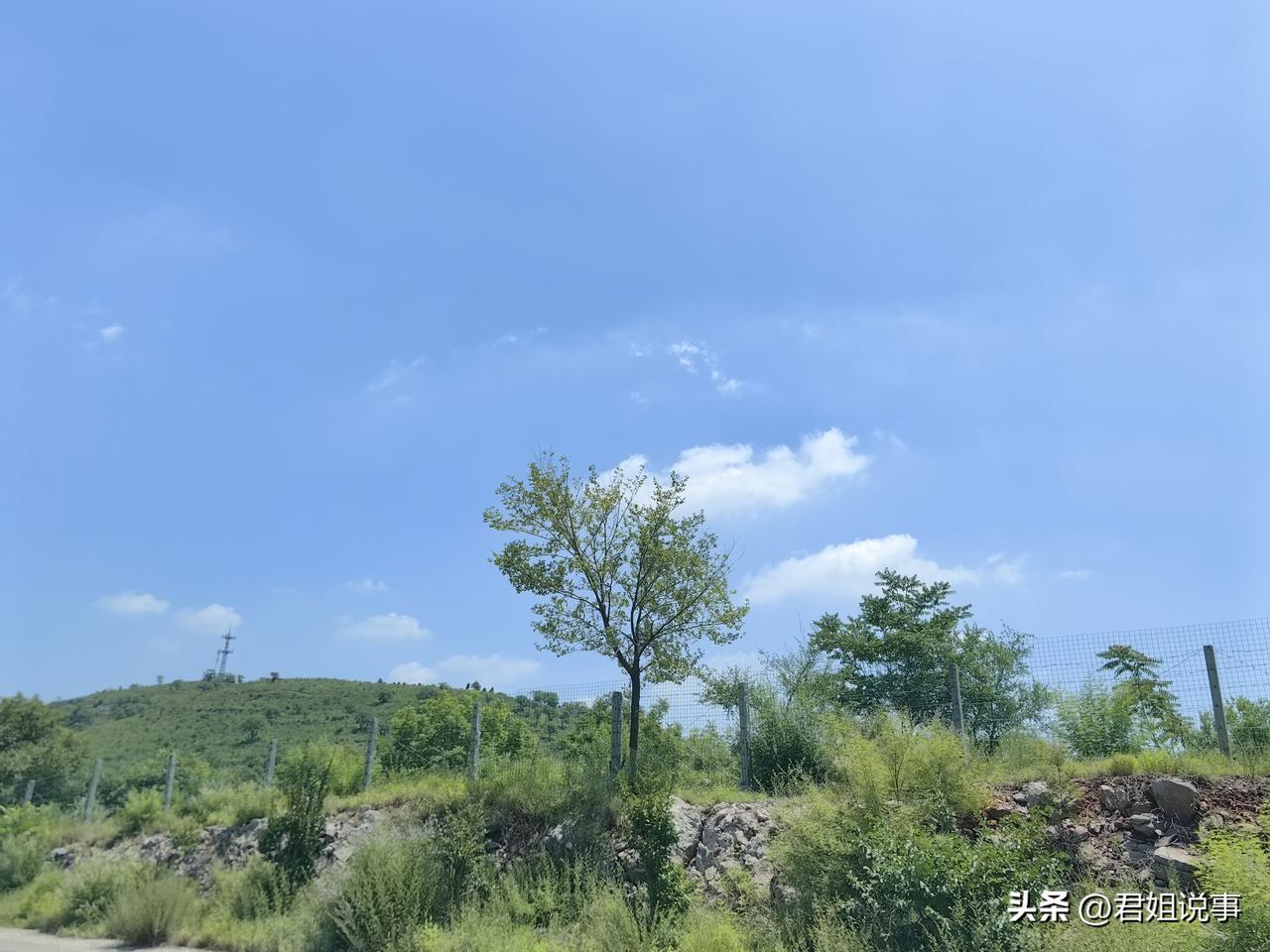 我是没有叫见过被中医治好的白血病患者。
我得白血病这七年多，认识很多白血病人，还
