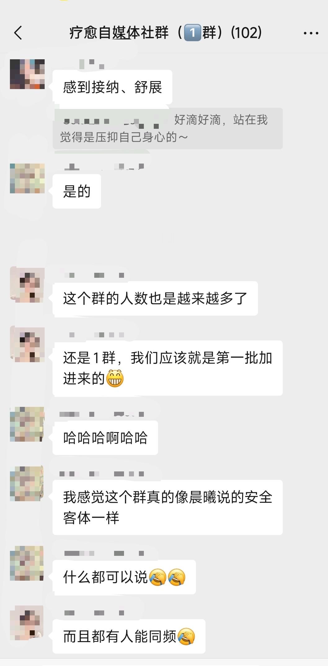 小群体疗愈属性，如同安全客体，顺便每周自媒体教学，大家一起边玩边学。晨曦说