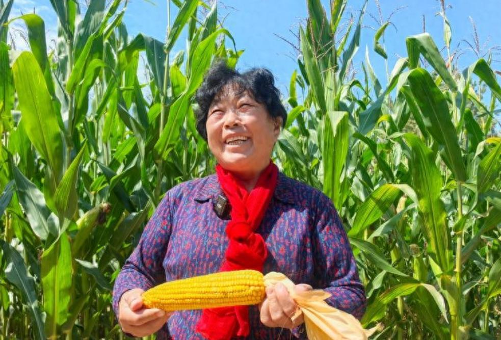 “治沙女杰”殷玉珍，如今家底厚得惊人。
 
800万棵树、7万亩林地，名下有一家
