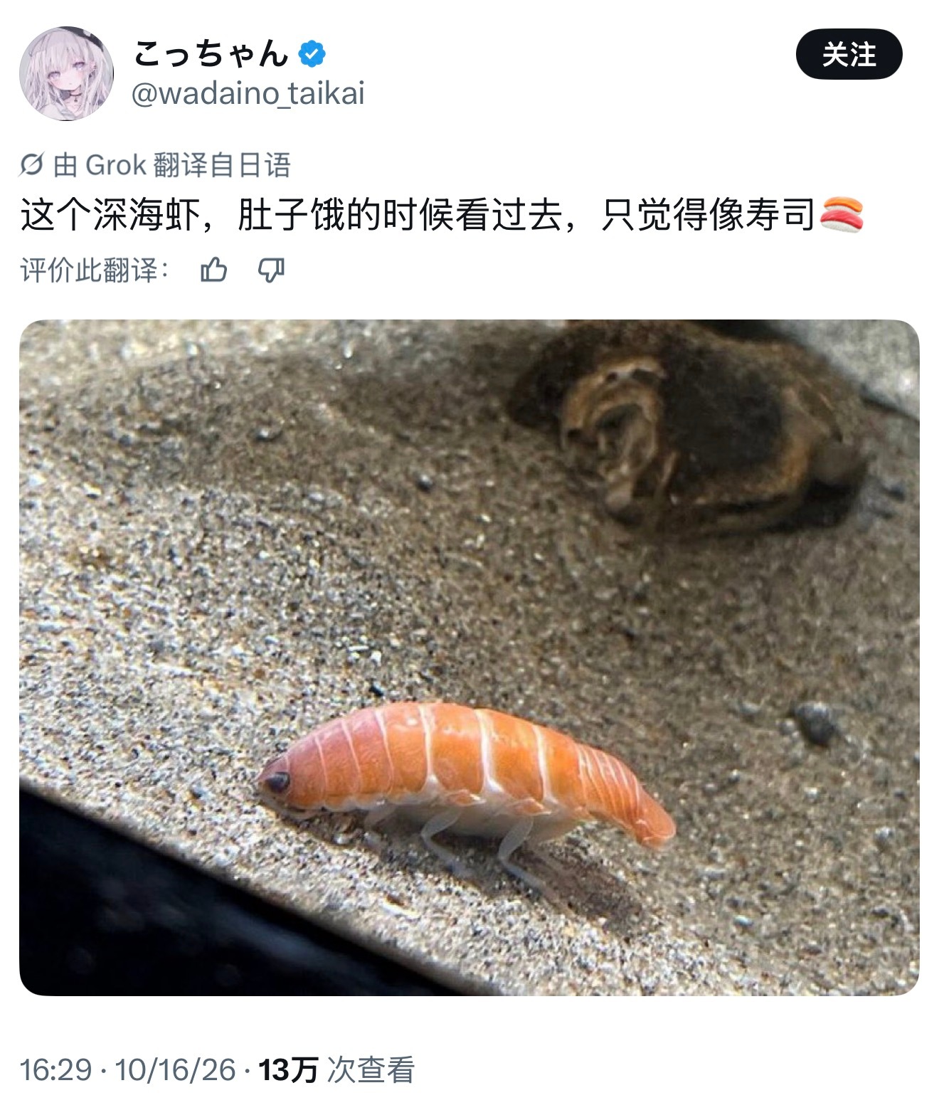 寿司虾meme ​​​