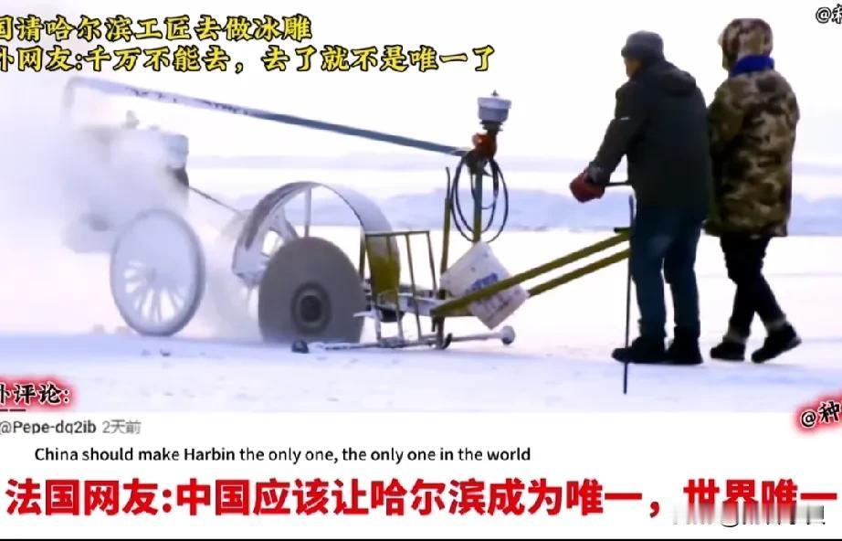 韩国请哈尔滨冰雕大师去做冰雕急坏全国网友。
韩国准备打造一个冰雕广场，呈现各国代