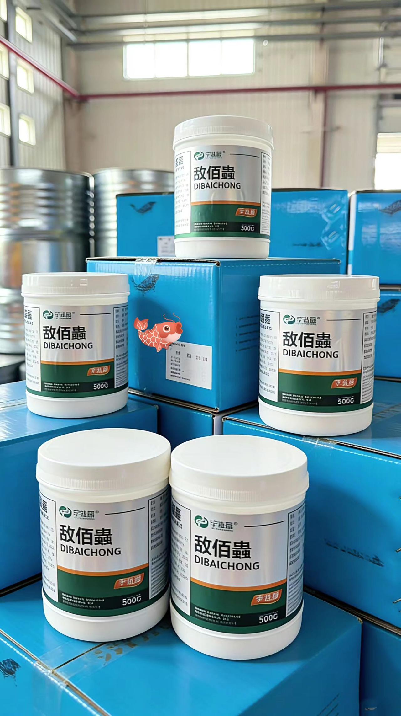 敌佰蟲 鱼塘养殖 鲢鱼 鲤鱼 草鱼