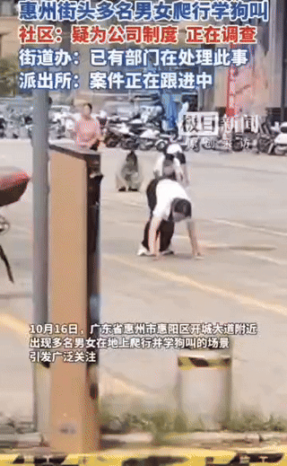 惠州街头员工爬行学狗叫事件。迎来了官方的回答。
25年10月16日中午，广东惠州