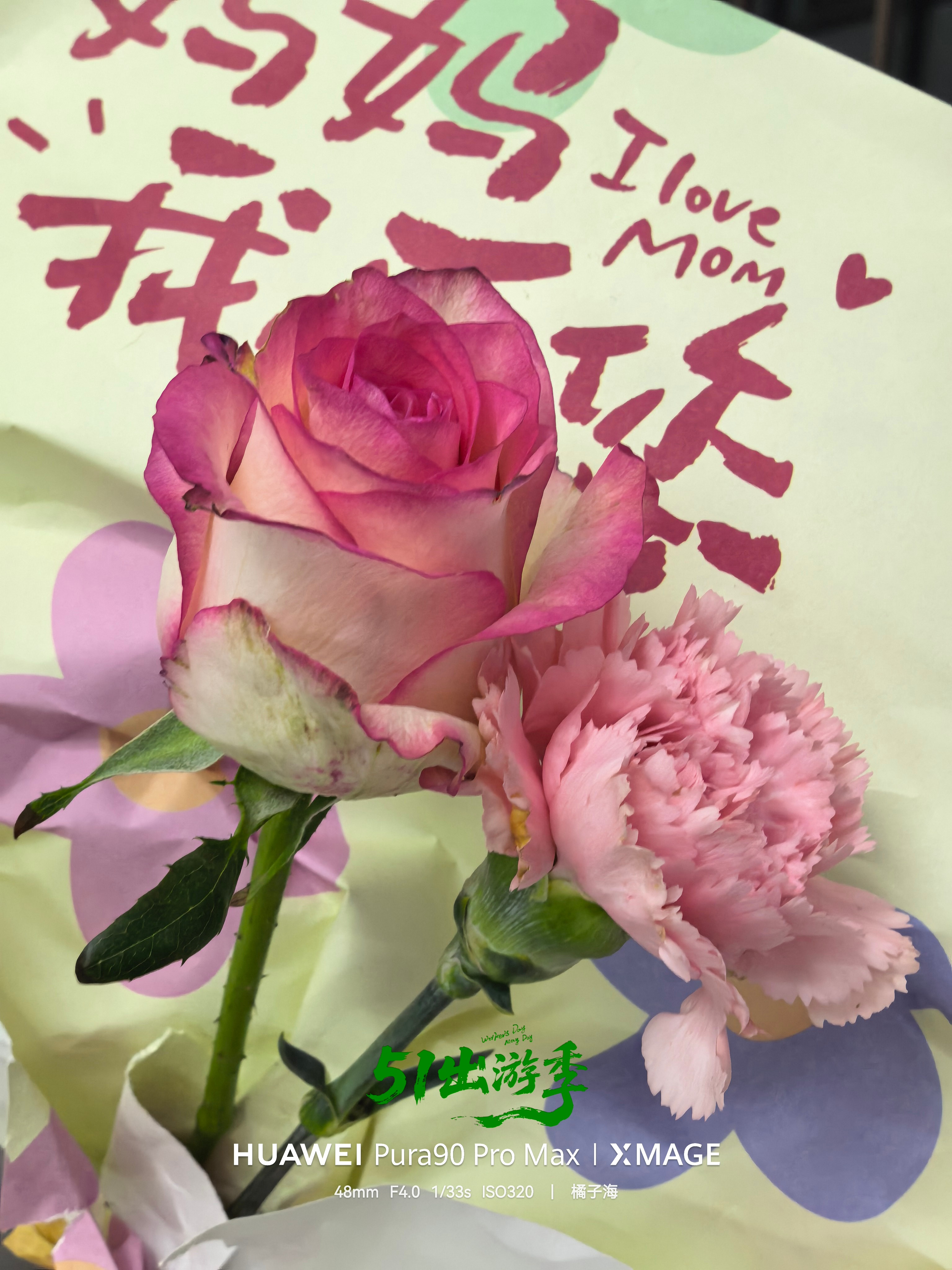 母亲节的那天，乐乐给妈妈买的花，大家说说好看吗？中华民族的传统美德，从小我就在教