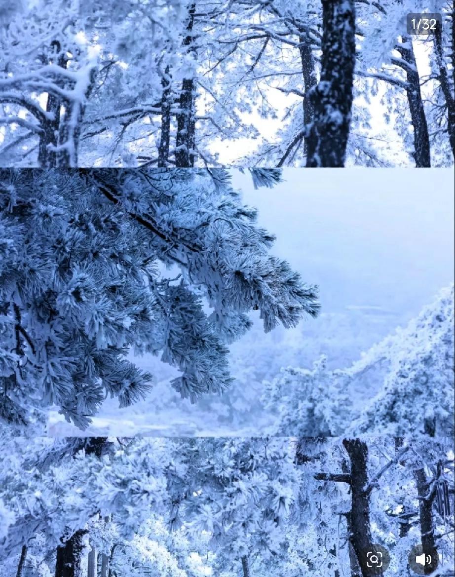 提前给大家提个醒，厚衣服要备好了

再有三天，也就是元月17号，
正式迈进四九天