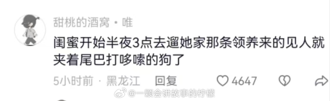 遛狗不栓绳的，伤了人了，狗主人该赔钱就赔钱，该坐牢就坐牢，怎么现在这发展越发迷幻