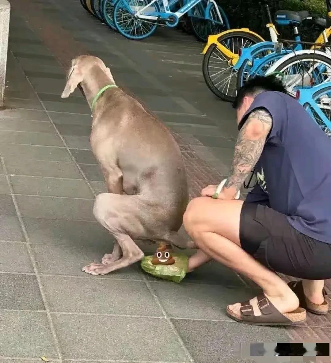 照片中这个男人绝对是一个合格的铲屎官，把狗狗伺候的真好，爱狗人士们都感动了吧。
