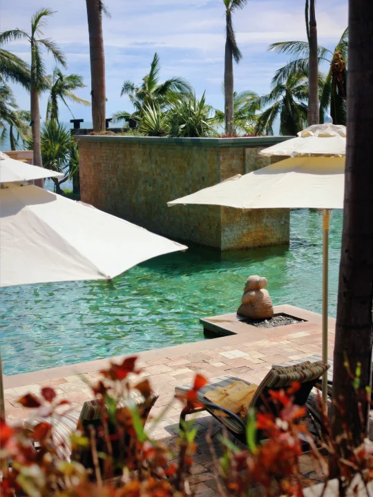 云散🌤️美好如约