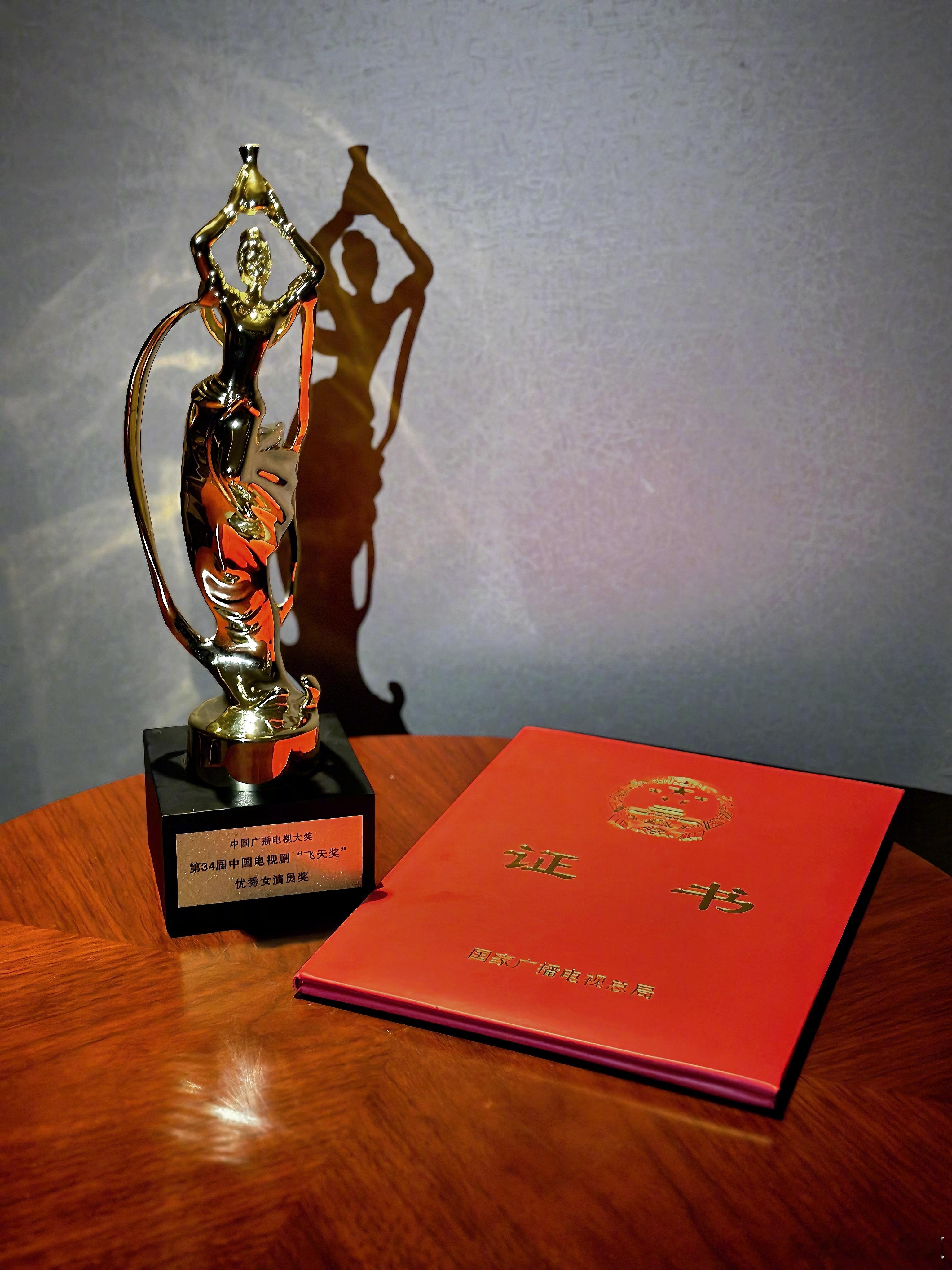 #赵丽颖这次没有陪跑##赵丽颖85花第一个飞天视后# ​​​ 在竞争激烈的演艺圈