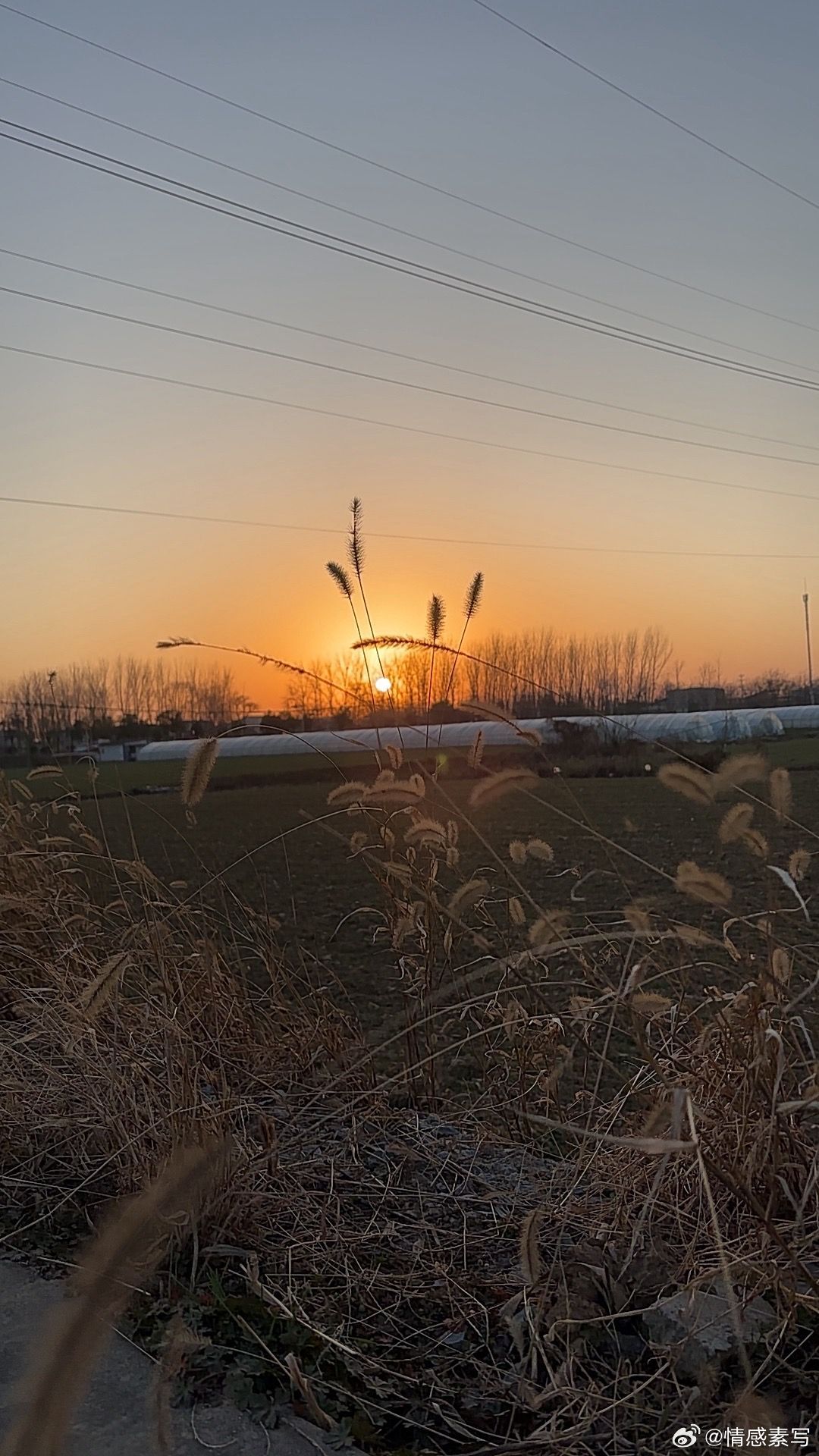 随手拍别为难别人，也别难为自己。有些事，不是强求就能圆满的。尽力了，没回应，那就