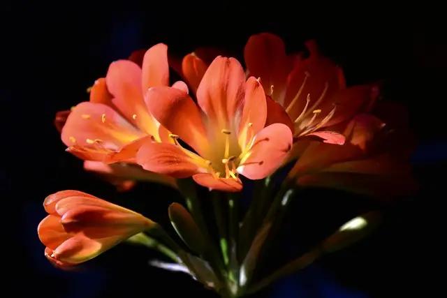 为长春文旅点赞，“君至长春”四字封神！
一个好名字，就是一座城市最省钱、最长久、