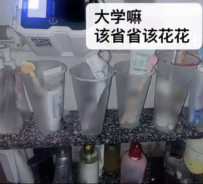 大学生的水杯主打一个经济实惠[允悲] ​​​