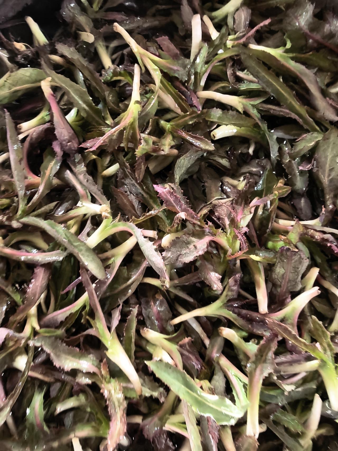 曲麻菜[祈祷][祈祷][祈祷]还有叫啥名字的？赐教[作揖][作揖]