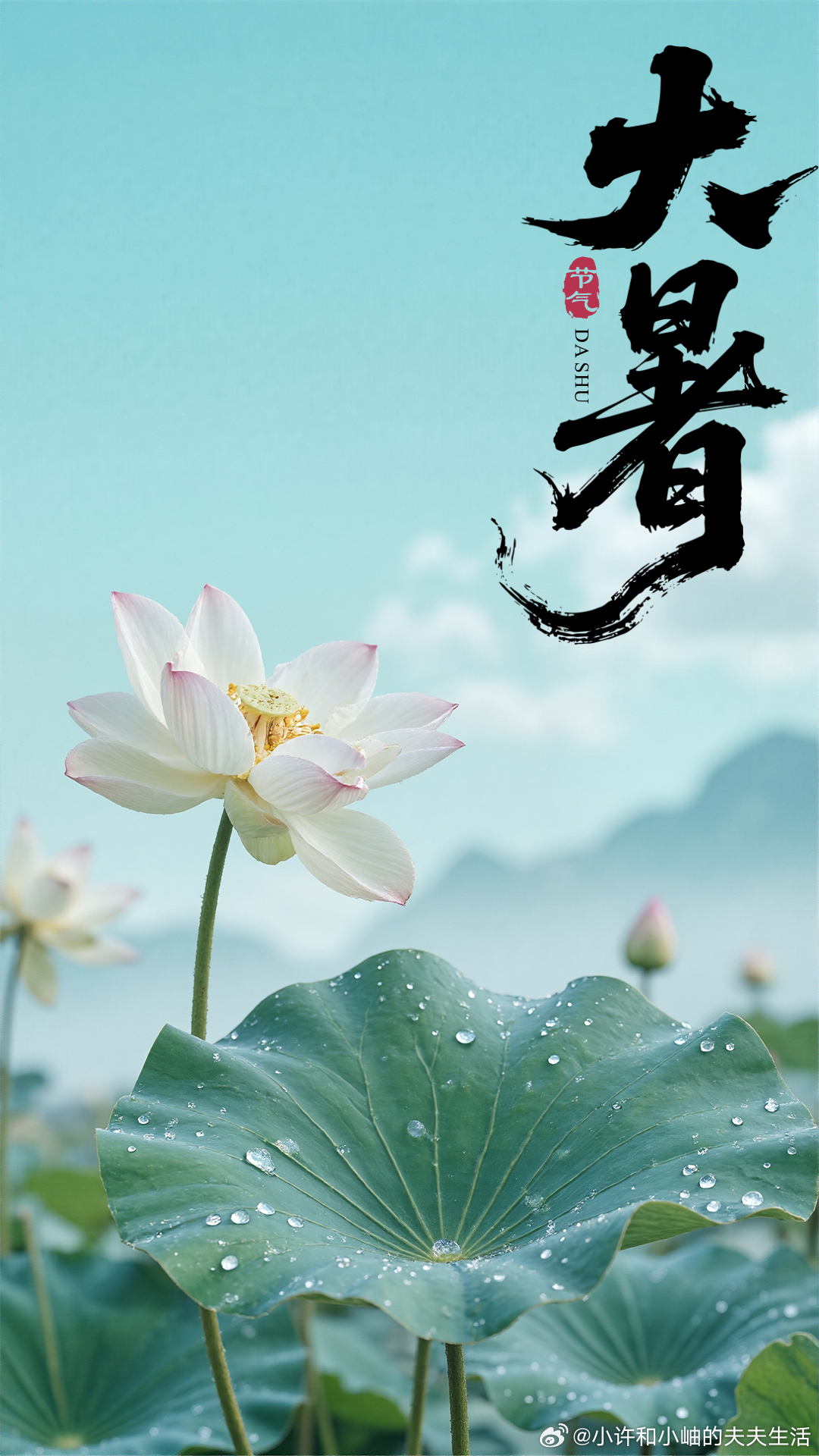 今日大暑 