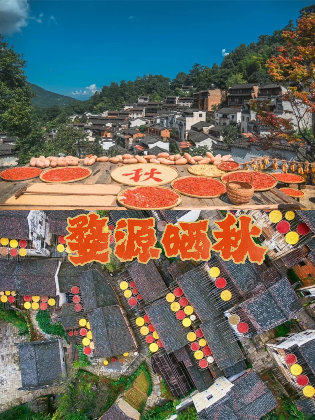 11月每周末出发婺源晒秋2日行程攻略