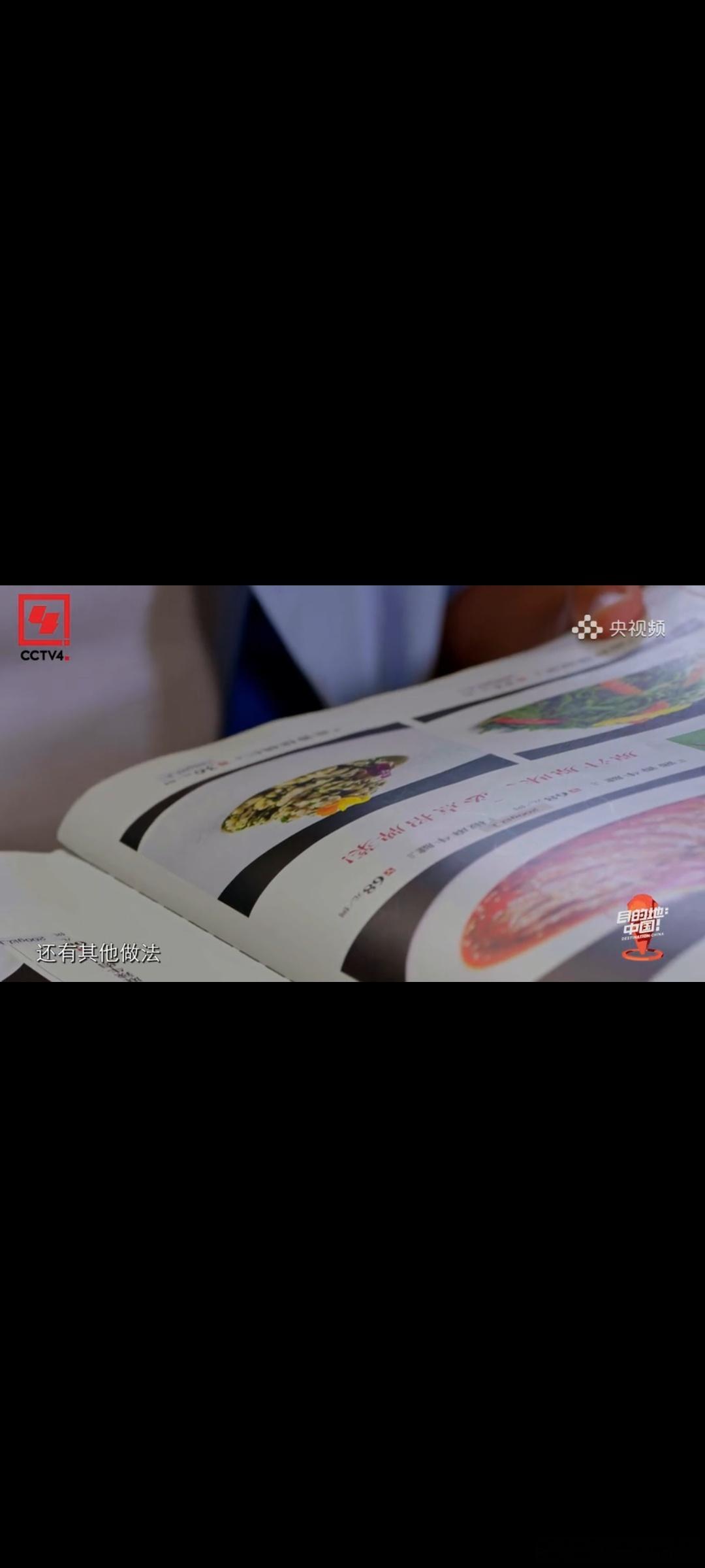 免签老外闯塞北 不白来都不白来央妈旅综又出爆款！《目的地：中国！》银川站，贺兰山