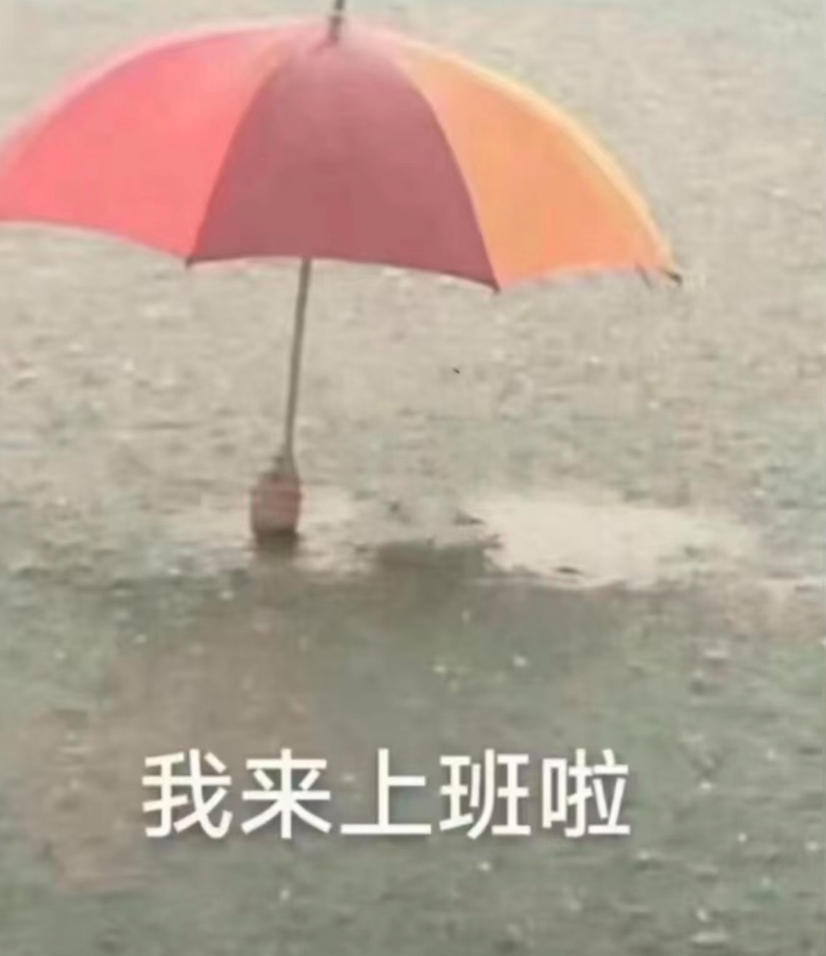 分享图片 ​​​