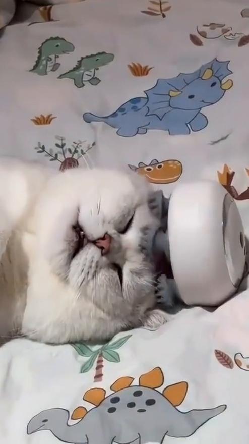 哎呦我的妈，哈哈。