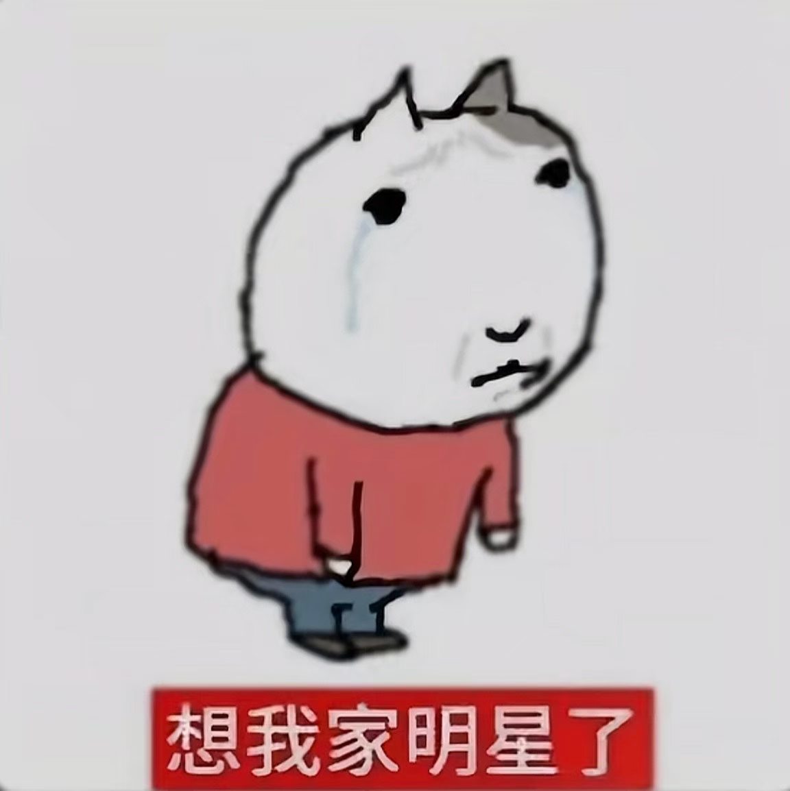 想我家男明星了 ​​​