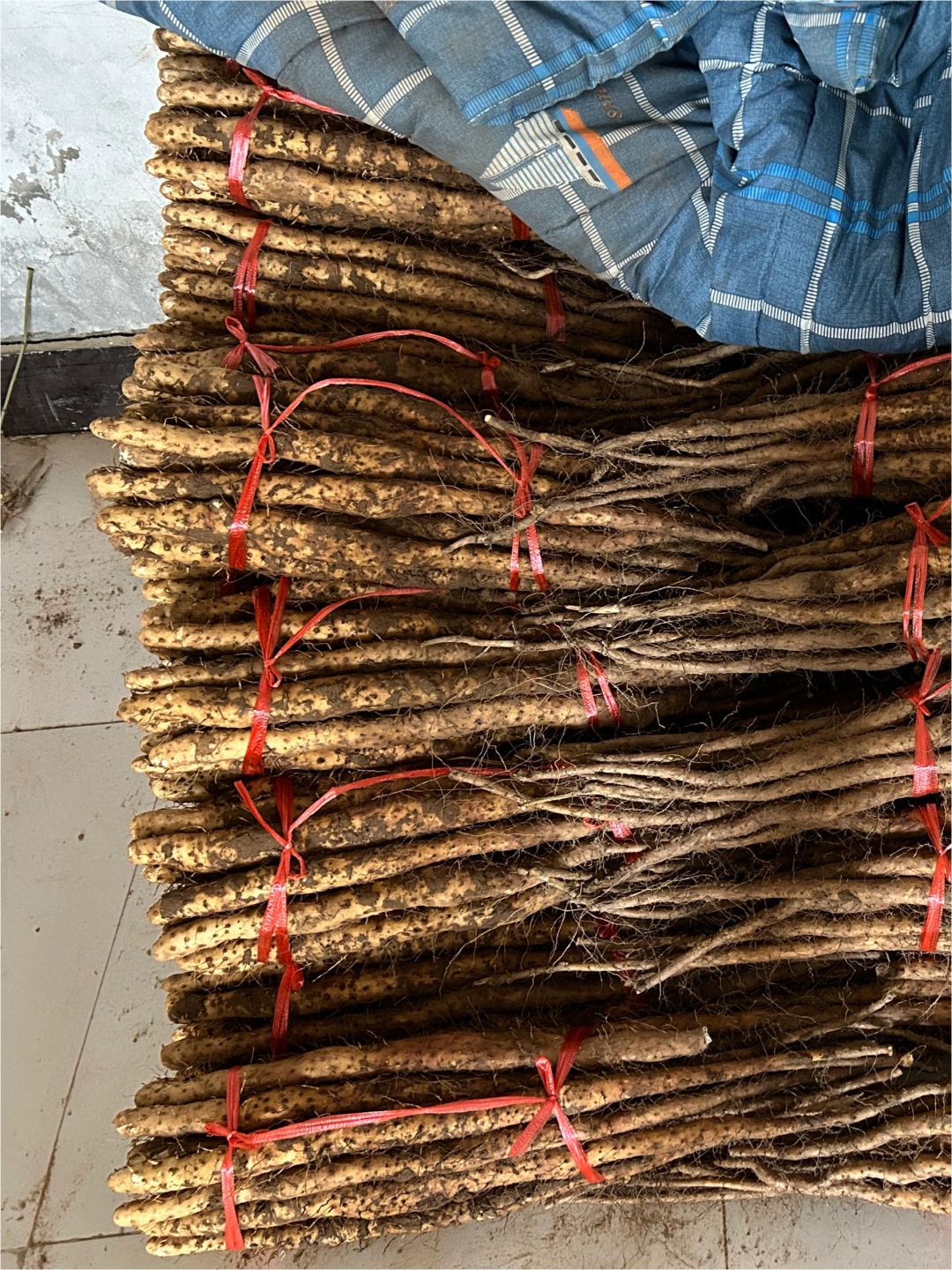 河南焦作温县垆土铁棍山药，新鲜怀山药！