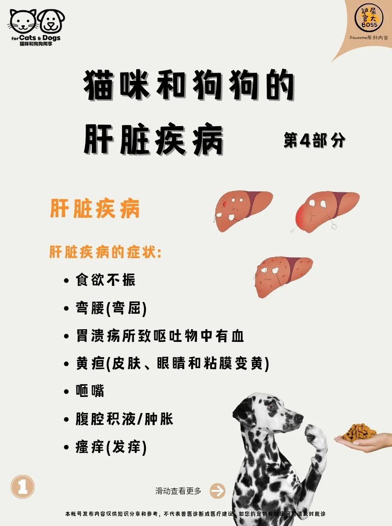 肝脏疾病的症状