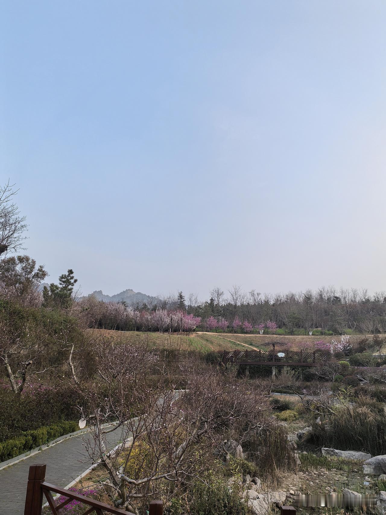 妈妈去世的当天，村里红白理事会的主持人私下告诉我和哥哥，祖坟座落在一片菜地里，挖