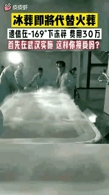死不起啊[黑线]