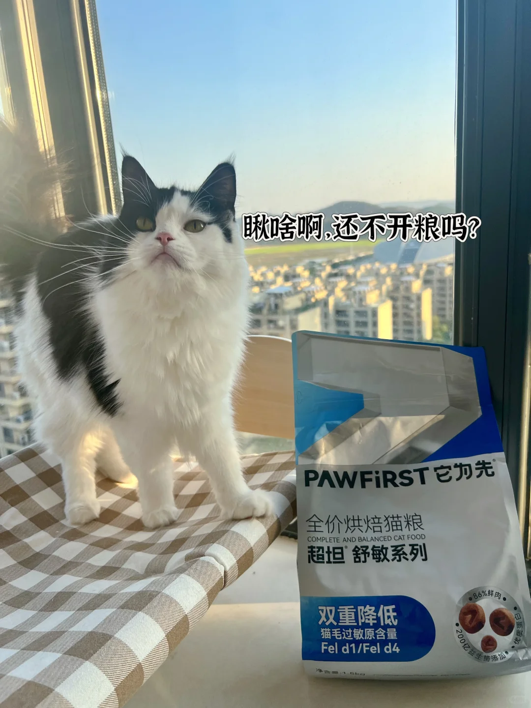 没人告诉我养猫能猫毛过min 成这样啊……