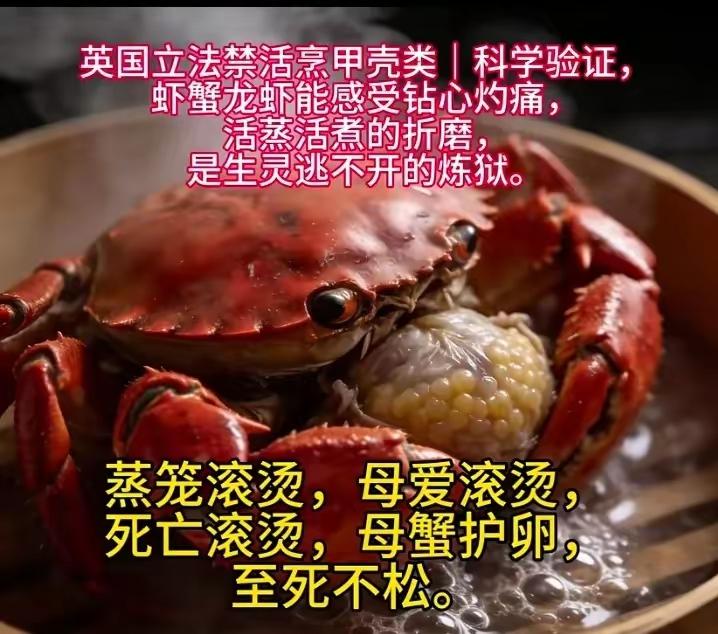 洋人：我吃人是自由，你们吃螃蟹是虐杀生命