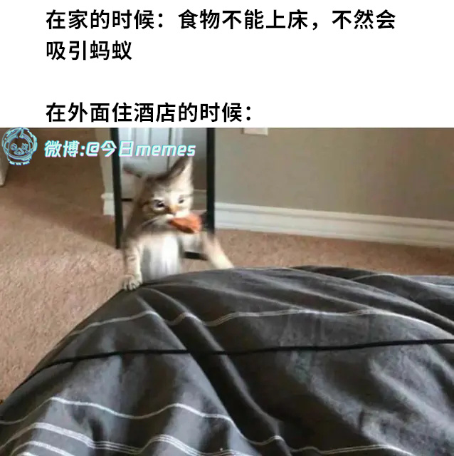 一体式（9gag） 今日meme[超话]   