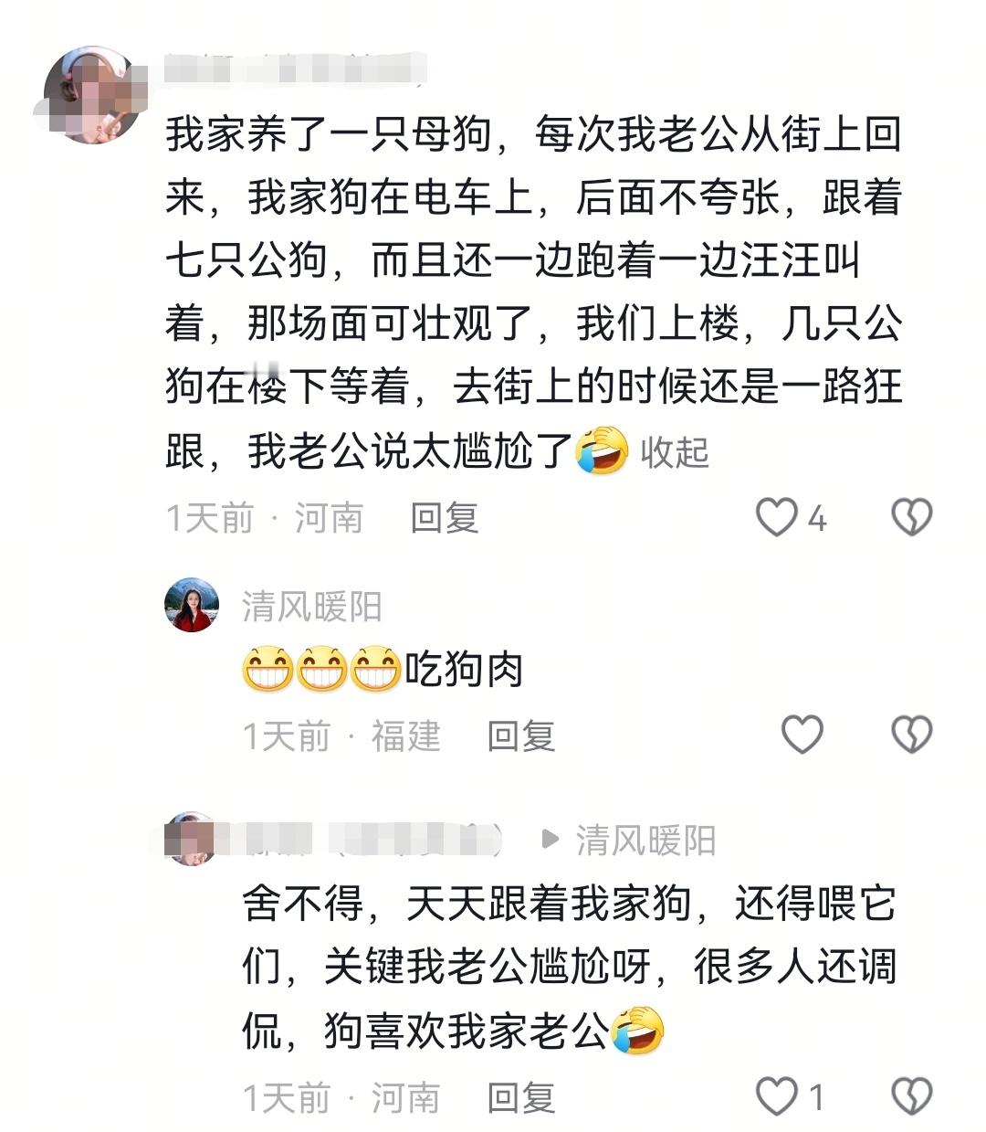 在人类世界，长得帅的美的有钱的，身后一群舔狗献殷勤，其实在动物世界也是如此 