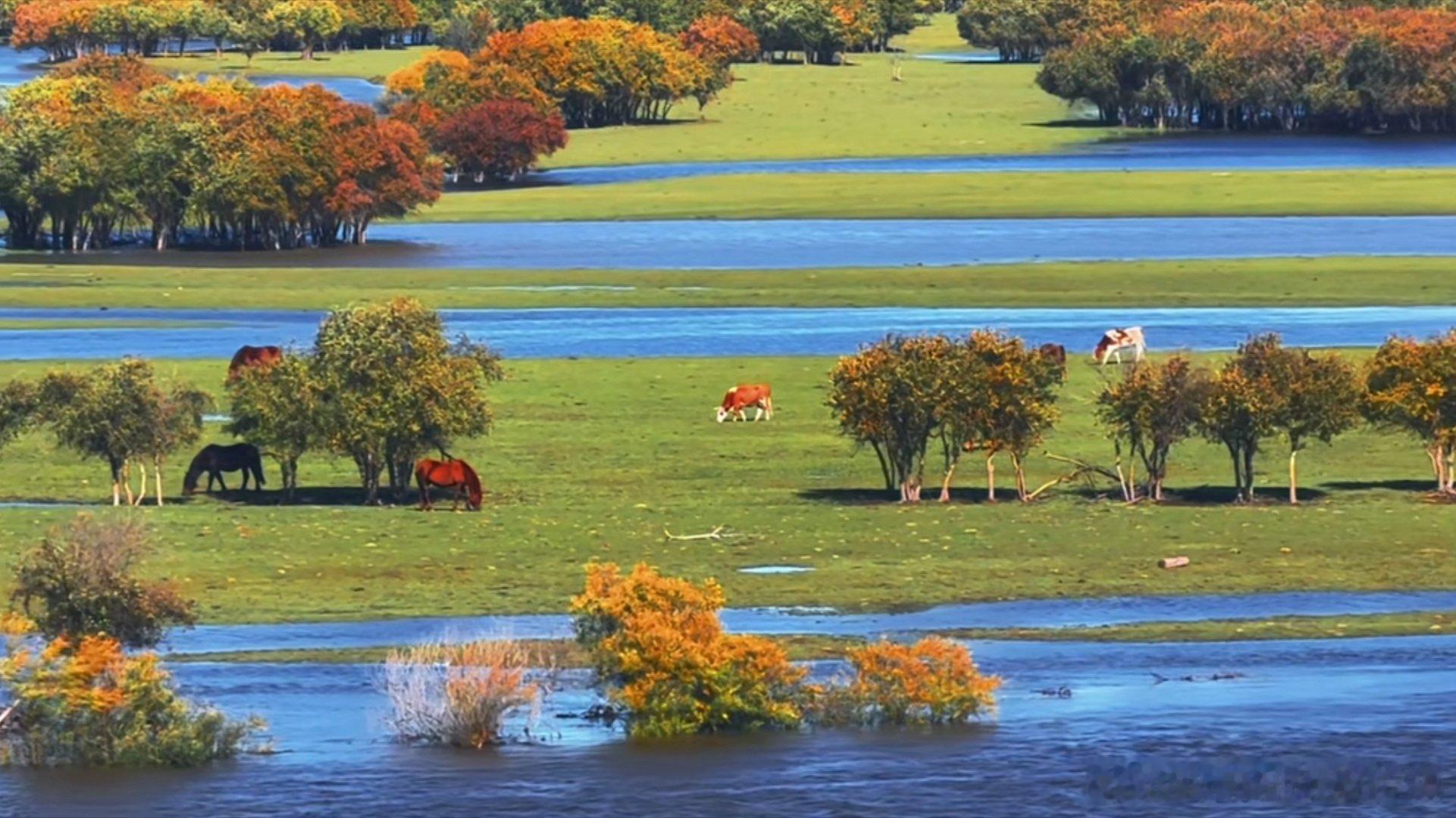 小收评＿ 指数＿预期没有变＿创业板＿等那条均线    如评论区＿    整体＿为