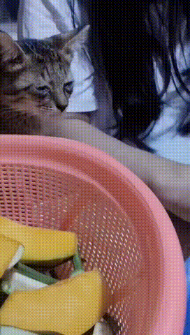 给我做的吗？都感动的哭了
