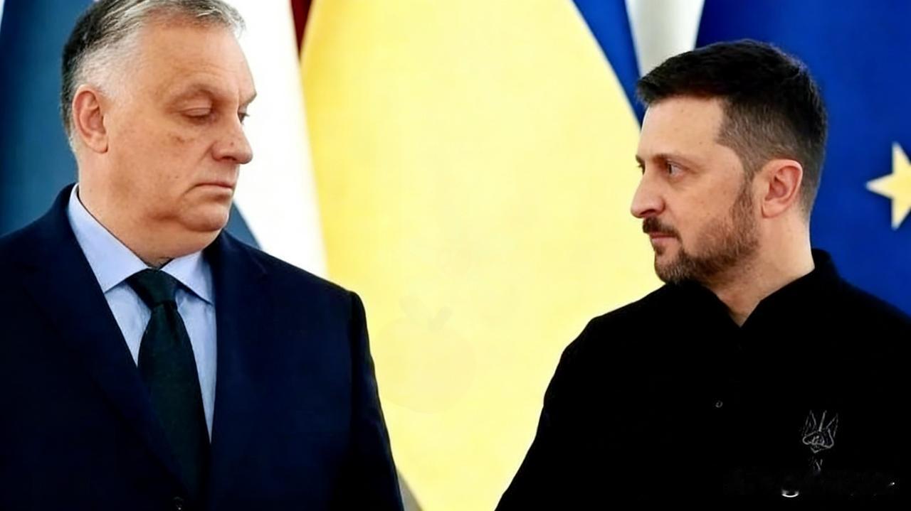 泽连斯基和欧尔班，彻底撕破脸了。

2026慕尼黑安全会议上演巅峰对决，全程高能