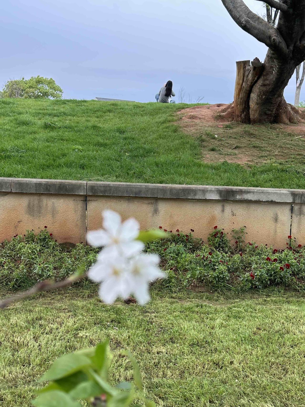 第一次看到敷着面膜拍特写的女孩！

本意是来拍花的，没想到背景处来了两位漂亮的女
